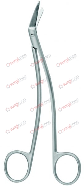 SCHMIEDEN-TAYLOR Dura scissors 15,5 cm, 6“