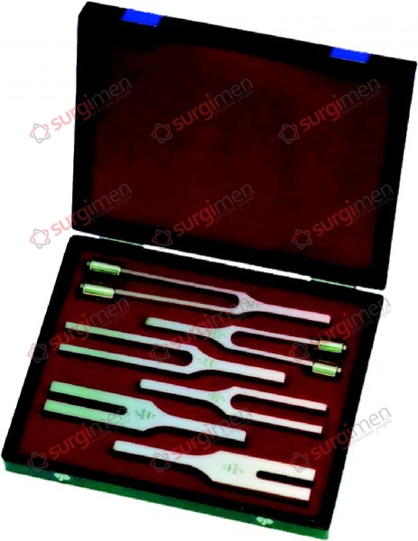 HARTMANN Set of 6 tuning forks, in case, consisting of: c1 – 256 No. 17-150-01 c2 – 512 No. 17-150-02 c3 – 1024 No. 17-150-03 c4 – 2048 No. 17-150-04 c – 128 No. 17-170-00 c1 – 256 No. 17-170-01
