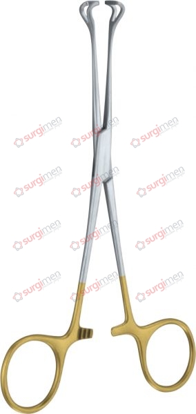 BABCOCK Intestinal and Tissue Grasping Forceps with tungsten carbide inserts 16 cm, 6¼“