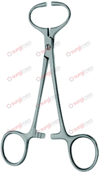 Fixation clamp for the spermatic cord 14,5 cm, 5 ¾“