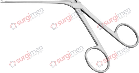 BELUCCI Micro Ear Scissors curved to right, sharp/sharp 4.0 mm x 0.8 mm 8 cm, 3⅛“