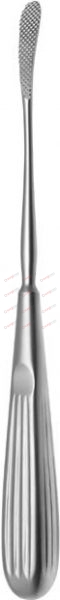 AUFRICHT Nasal Rasps drawing and pushing cut 8 mm 21,5 cm, 8½“