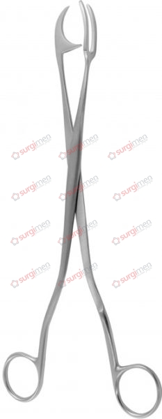 ROGGE Sterilizing Forceps 23,5 cm, 9¼“