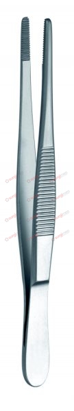 Dissecting Forceps narrow patterns 25 cm 10“