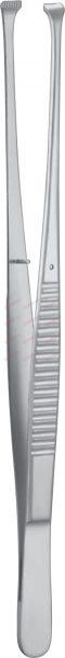 NELSON Tissue Forceps 23 cm, 9“ 6x7 teeth