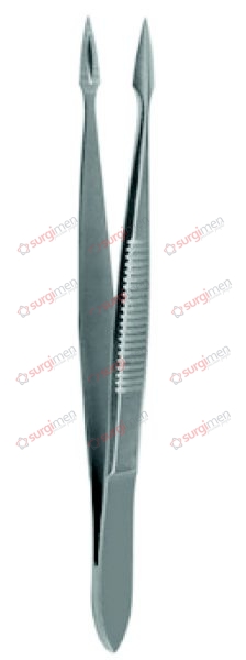 HUNTER Splinter Forceps 10,5 cm, 4⅛“ straight