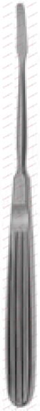 LEMPERT Raspatories 5 mm 17 cm, 6¾“