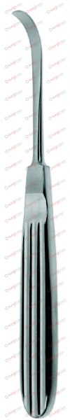 Raspatories 6 mm 17 cm, 6¾“