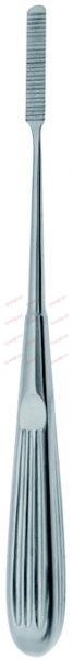 COTTLE Rasps 21 cm, 8¼“