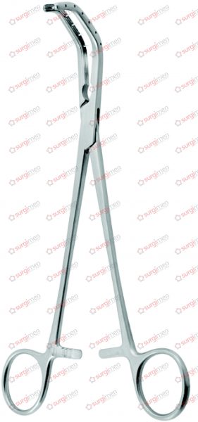 PRICE-THOMAS Bronchus Forceps jaw with pins 22 cm, 8¾“