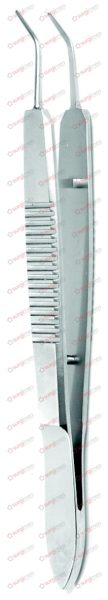 TROUTMAN Capsule forceps 10 cm, 4“