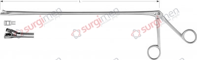 Biopsy forceps, straight 30 cm, 12"