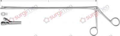 Biopsy forceps, straight 40 cm, 16"