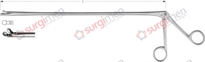 Cup-shaped forceps, curved upwards 60 cm, 24"
