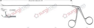 Cup-shaped forceps, curved upwards Ø 2,0 mm , 25,0 cm , 10”