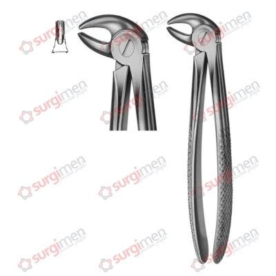 Extracting Forceps English Pattern Fig. 13