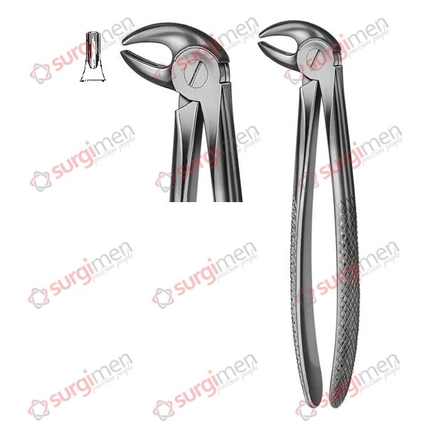 Extracting Forceps English Pattern Fig. 13