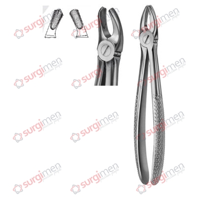 Extracting Forceps English Pattern Fig. 17