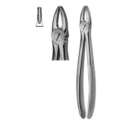 Extracting Forceps English Pattern Fig. 2