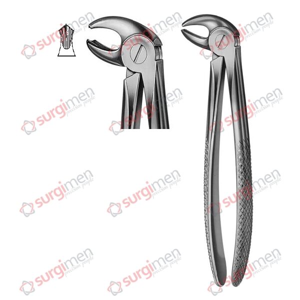 Extracting Forceps English Pattern Fig. 22