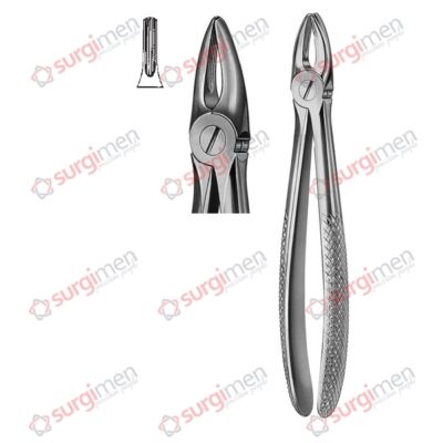 Extracting Forceps English Pattern Fig. 29