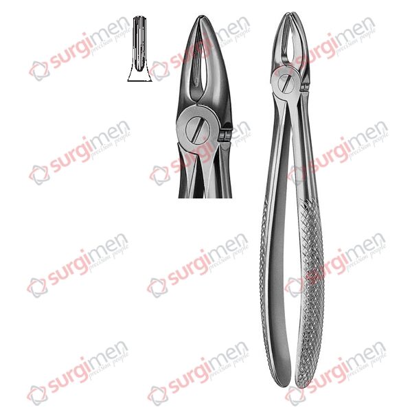 Extracting Forceps English Pattern Fig. 29