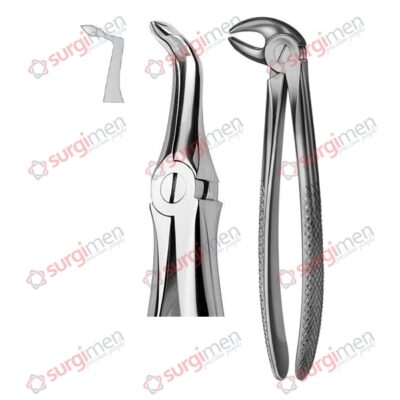 Extracting Forceps English Pattern Fig. 35F