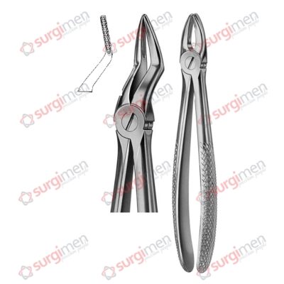 Extracting Forceps English Pattern Fig. 51A