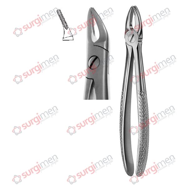 Extracting Forceps English Pattern READ Fig. 76N