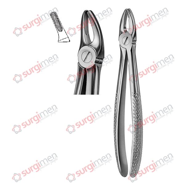 Extracting Forceps English Pattern Fig. 7 non slip