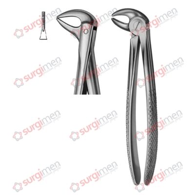 Extracting Forceps English Pattern Fig. 74N non slip