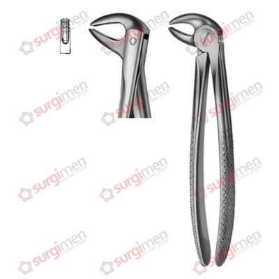 Extracting Forceps English Pattern Fig. 75 non slip