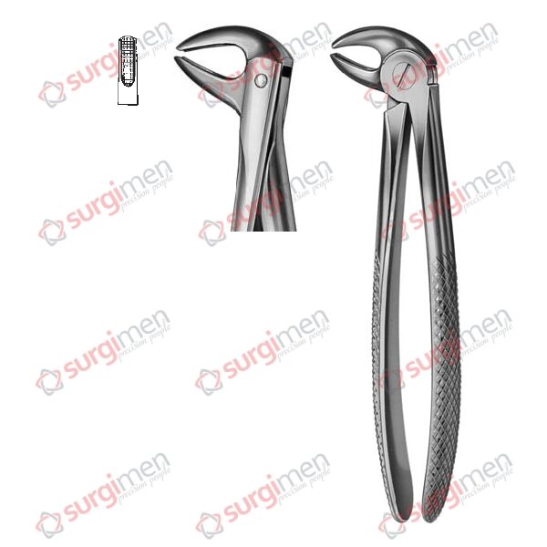 Extracting Forceps English Pattern Fig. 75 non slip