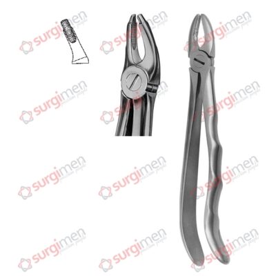 Extracting Forceps Anatomic Handle Fig. 7