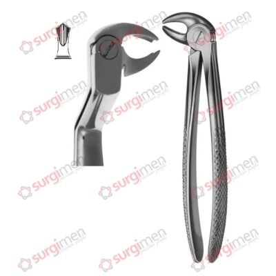 Extracting Forceps English Pattern Routurier Left