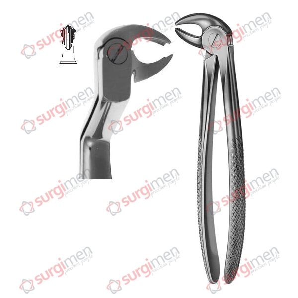 Extracting Forceps English Pattern Routurier Left